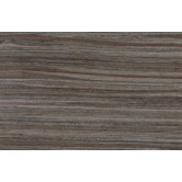 Veranda Tones 13" x 20" Field Tile in Bamboo Forest