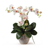 Triple Mini Phalaenopsis Silk Orchid Arrangement in Light Pink