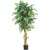 72" Silk Palace Style Ficus Tree
