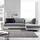 Axis Sectional