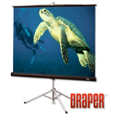 High Contrast Grey Diplomat Portable Screen - 100"  diagonal NTSC Format