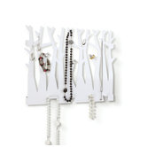 Canopy Wall Mounted Jewelry Organizer