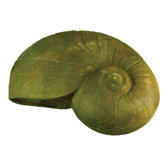 Animals Snail Shell Statue
