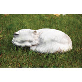 Animals Fat Cat Statue
