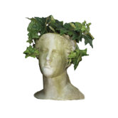 Venus Head Planter