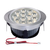 Tiro12 Twelve Light Directional Downlight with Source