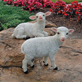 Yorkshire Lamb Statue