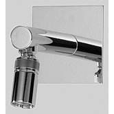 Gyro Swivel Shower Head and Arm