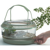 Deluxe Amphibian Lagoon with Lid