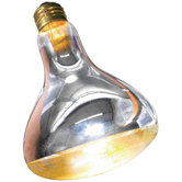 Reptile Basking Spot Lamp