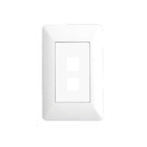 2 Port AnyPort Wall Plate