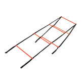 Speed Ladders