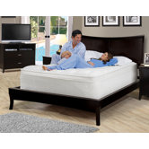 2500 Air Chamber Bed