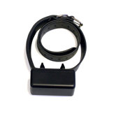 Express Trainer Extra Collar