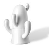 Cactus Salt and Pepper Shaker