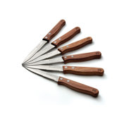 6 Piece Steak Knife Set
