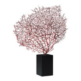 Sea Fan with Base in Red and Black