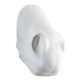 Horse Snout Wall Art in White