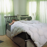 Pearl Crescent 800 Hypo-Blend Classic Comforter