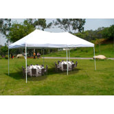 The Party Canopy