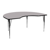 Kidney Activity Table