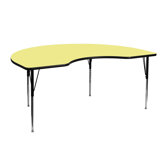Kidney Activity Table