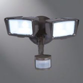 Twin Head LED Motion Wall Fixture