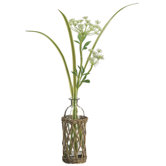 Queen Anne's Lace in Willow Basket Glass Vase