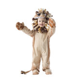 Lion Costume in Printed