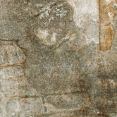 Vesale Stone 6 1/2" x 6 1/2" Modular Tile in Moss