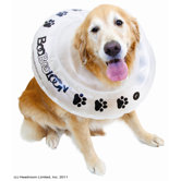 Protective Pet Collar