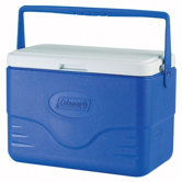 Bail Handle Cooler