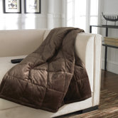 Thinsulate Albany Micromink Blanket in Chocolate
