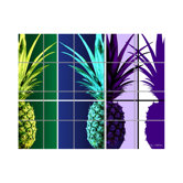Pineapple Kitchen Tile Mural