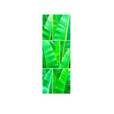 Tropical Greens Shower Tile Mural