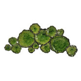 Lily Pad Wall Decor