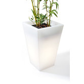 Hugo Square Pot Planter