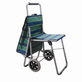 Out and About Roller Shopping Tote