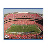 NFL Stadium Canvas Art