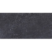 Allora 18" x 36" Light Polished Porcelain Tile in Carbone