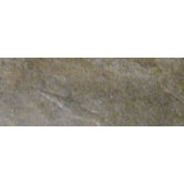 Paseo 3" x 13" Surface Bullnose in Crema