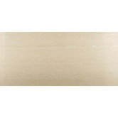 Peninsula 16" x 32" Floor Tile in Melville