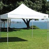 Traveler Commercial Canopy
