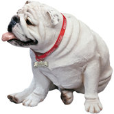 Life Size Large Bulldog Sculpture in White