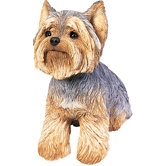 Original Size Yorkshire Terrier Sculpture