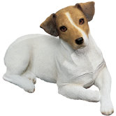 Original Size Jack Russell Terrier Sculpture in Brown / White