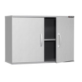 2 Door Wall Cabinet