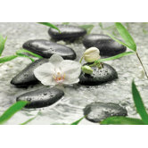 Komar Pure Wall Mural