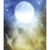 Ultimate Fairy Night Wall Mural