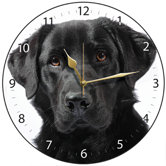 Black Labrador Dog Round Wall Clock